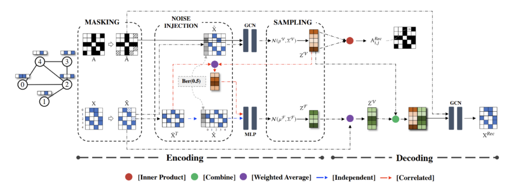 图6：SeeGera 模型框架