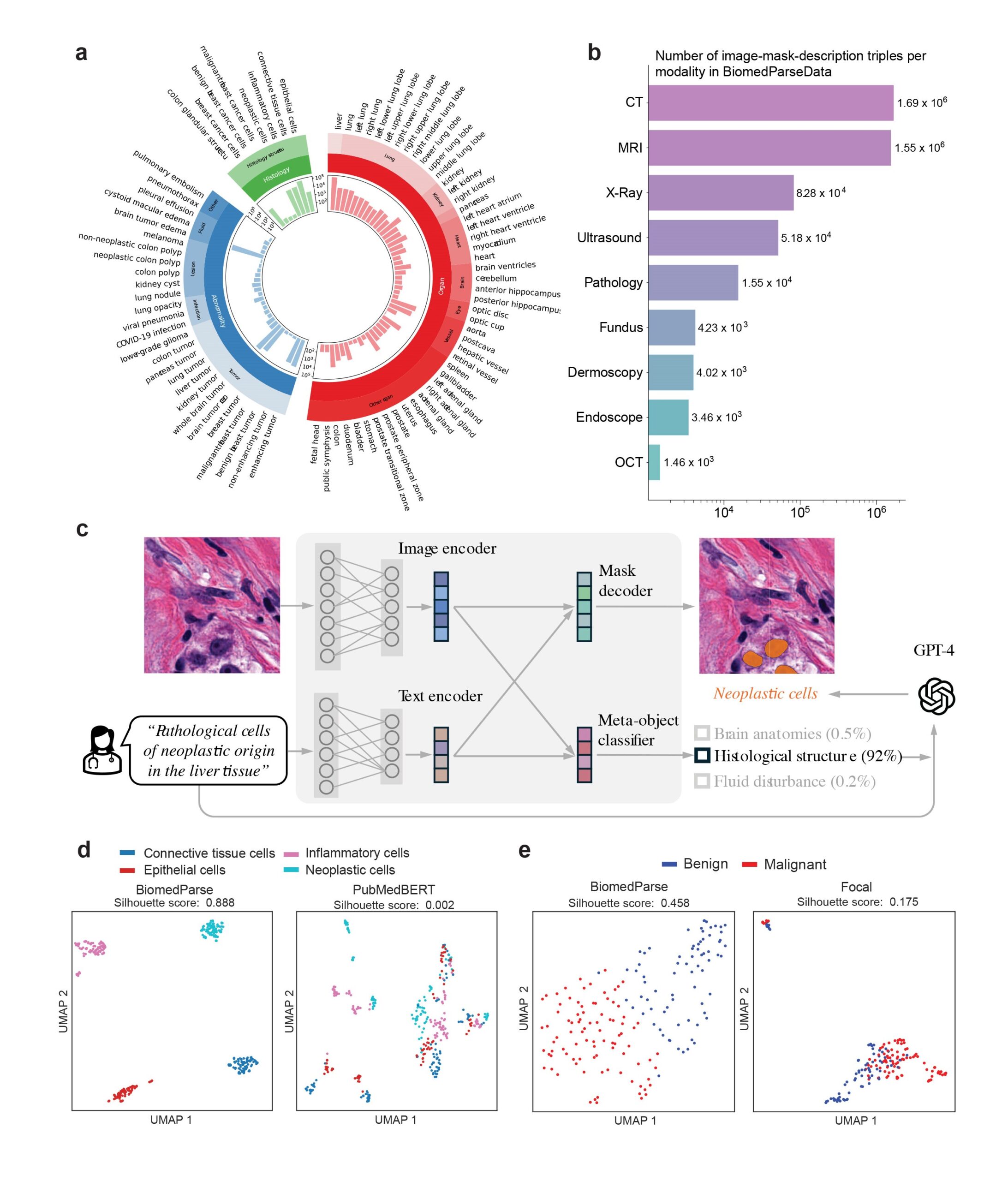 a, The GPT-4 constructed ontology showing a hierarchy of object types that are used to unify semantic concepts across datasets. Bar plots showing the number of images containing that object type. b, Bar plot showing the number of image–mask–description triples for each modality in BiomedParseData. CT is abbreviation for Computed Tomography. MRI is abbreviation for Magnetic Resonance Imaging. OCT is abbreviation for Optical Coherence Tomography. c, Flowchart of BiomedParse. BiomedParse takes an image and a text prompt as input and then outputs the segmentation masks for the objects specified in the prompt. Image-specific manual interaction such as bounding box or clicks is not required in our framework. To facilitate semantic learning for the image encoder, BiomedParse also incorporates a learning objective to classify the meta-object type. For online inference, GPT-4 is used to resolve text prompt into object types using the object ontology, which also uses the meta-object type output from BiomedParse to narrow down candidate semantic labels. d, Uniform Manifold Approximation and Projection (UMAP) plots contrasting the text embeddings for different cell types derived from BiomedParse text encoder (left) and PubMedBERT (right). e, UMAP plots contrasting the image embeddings for different cell types derived from BiomedParse image encoder (left) and Focal (right).