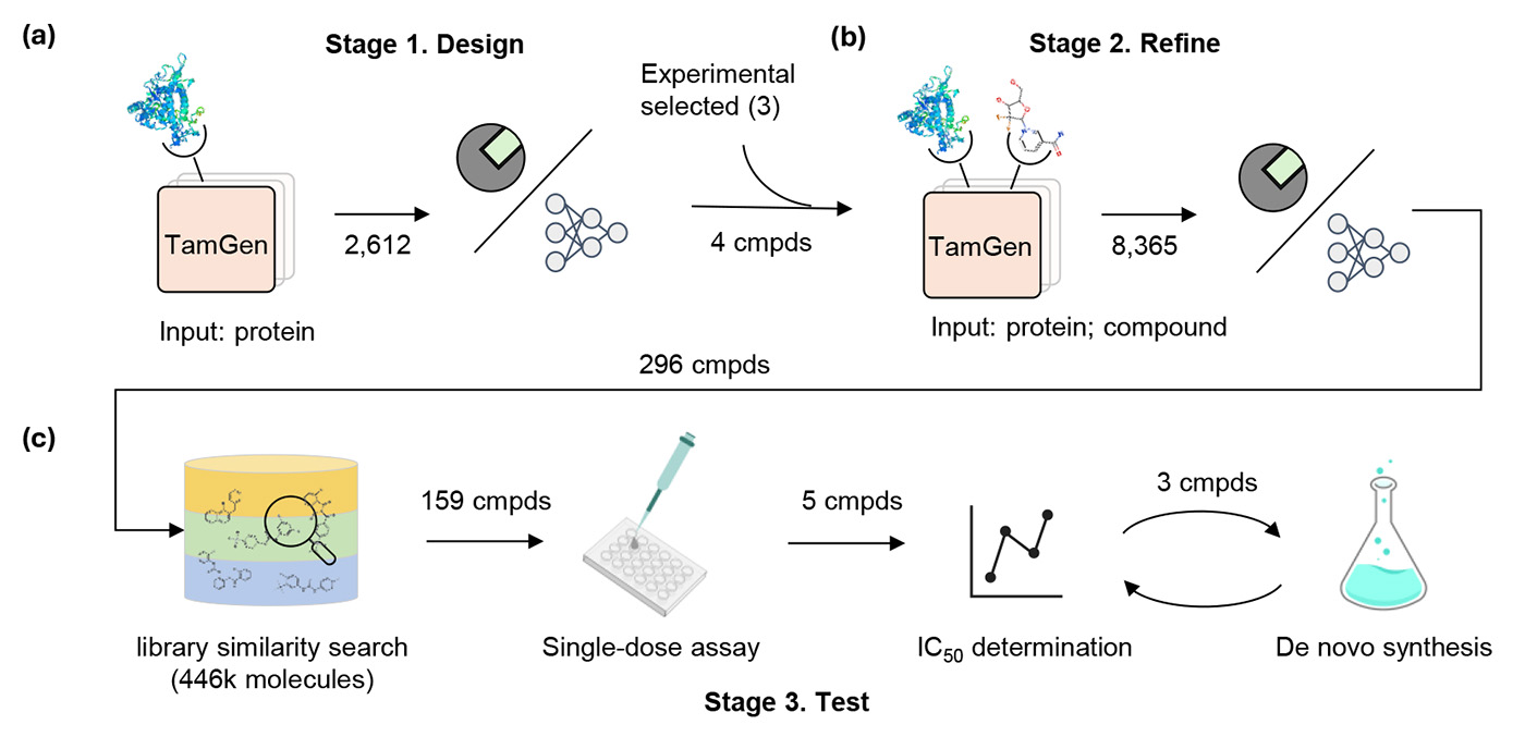 The figure shows step by step the process and results, as the context described, of how TamGen analyzes the binding pocket of the protease on Design stage, Refine stage and Test stage.