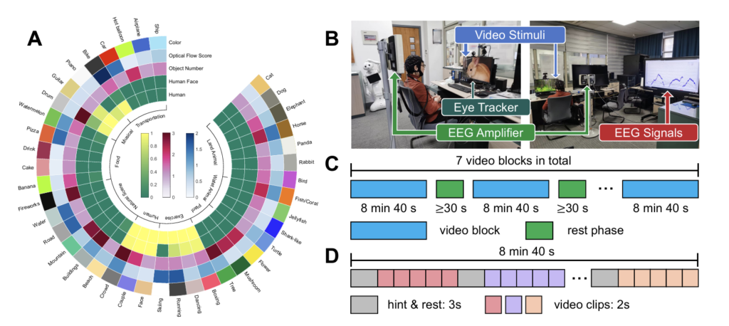 SEED-DV 数据集。（A）视频类别、颜色、动态等信息（B）采集环境（C、D）数据采集范式。