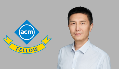 Wei Chen ACM Fellow