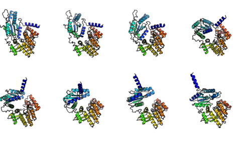 The image shows eight different 3D models of protein structures. Each model is color-coded with various segments in blue, green, orange, and other colors to highlight different parts of the protein.