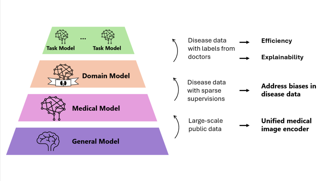 Disease centric foundation and adaptation for multimodal medicine