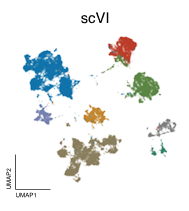 scVI