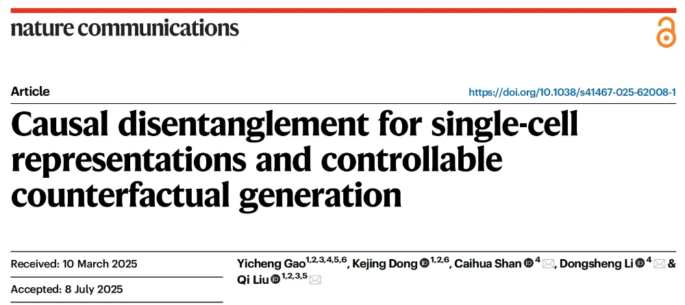 graphical user interface, text, application, email