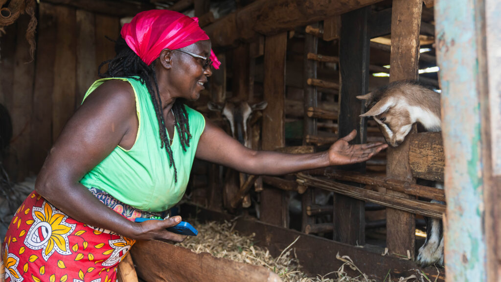 In Kenya, a farmer tends to her livestock as AI models adapted for local languages make agricultural guidance more accessible.