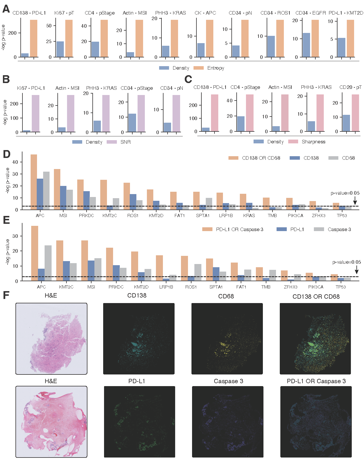 Figure 5. GigaTIME uncovers interesting spatial and combinatorial virtual mIF patterns. A,B,C Bar plots comparing virtual mIF activation density with spatial metrics on identifying TIME protein-biomarker correlations. We investigated three spatial metrics based on entropy (A), signal-to-noise ratio (SNR) (B), and sharpness (C). D,E, Bar plots comparing single-channel and combinatorial-channel (using the OR logical operation) in biomarker associations for two GigaTIME virtual protein pairs: CD138/CD68 (D) and PD-L1/Caspase 3 (E), demonstrating substantially improved associations for the combination. F, Case studies visualizing the virtual mIF activation maps of individual channels (CD138, CD68; PD-L1, Caspase 3) and their combinations.