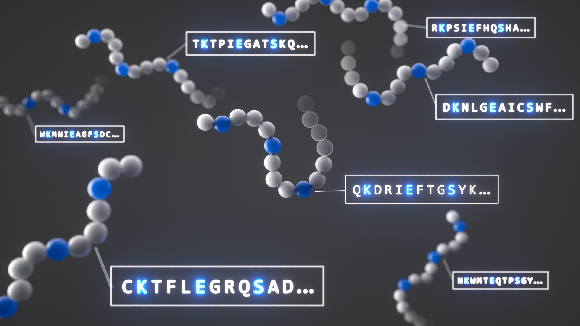 Paraphrase Project Protiens