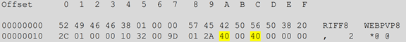 Screenshot showing the bytes at index 26 and 28 being replaced with 0x40
