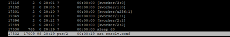 Screenshot of the output of the 'ps -aef' containing an entry for "cat resolv.conf".