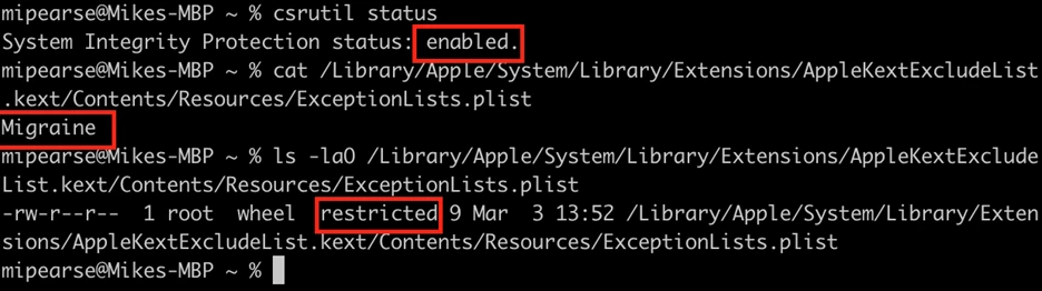 Code displaying SIP protections making a file undeletable