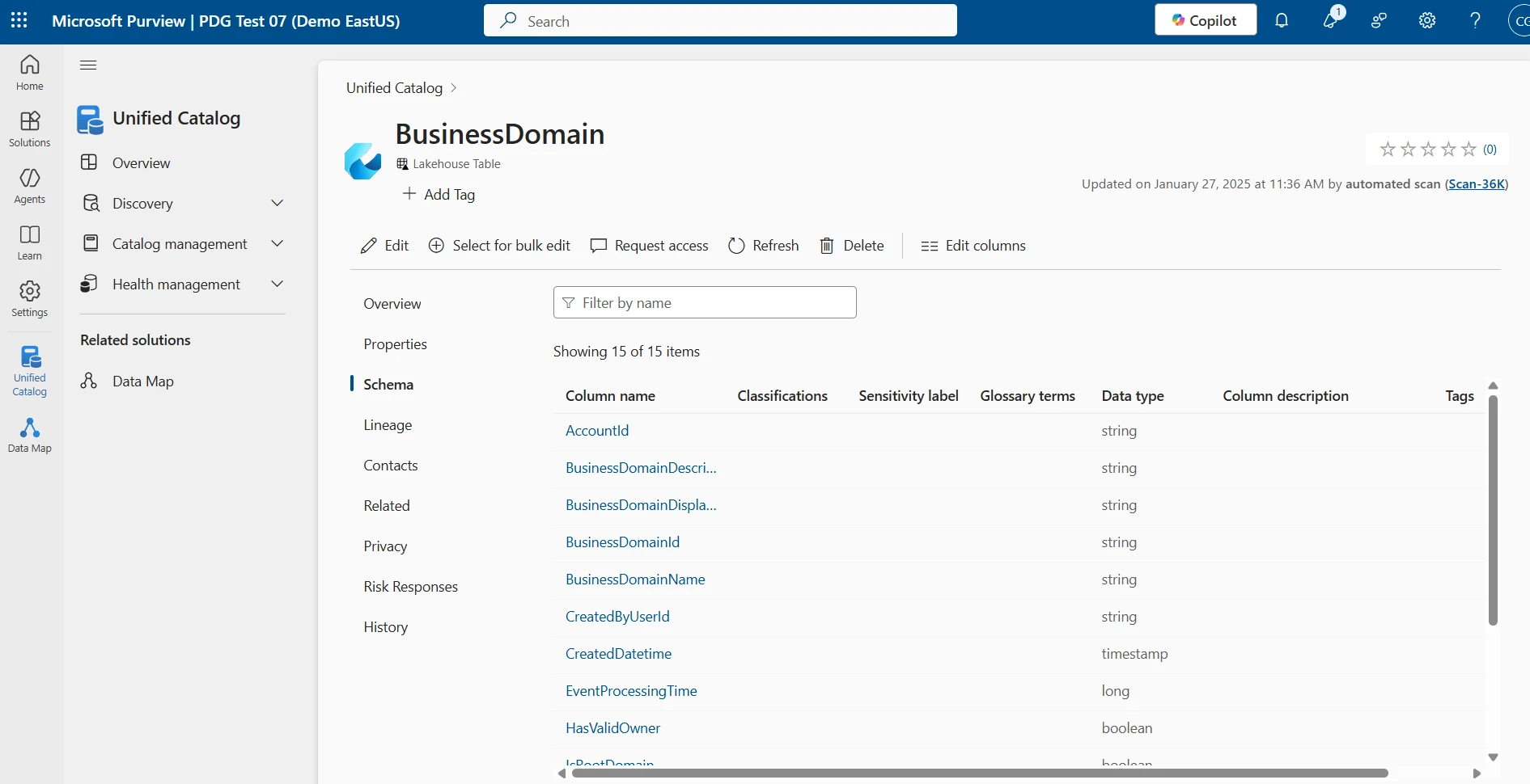 Schema of ‘BusinessDomain’ Lakehouse table showing column names and data types as metadata