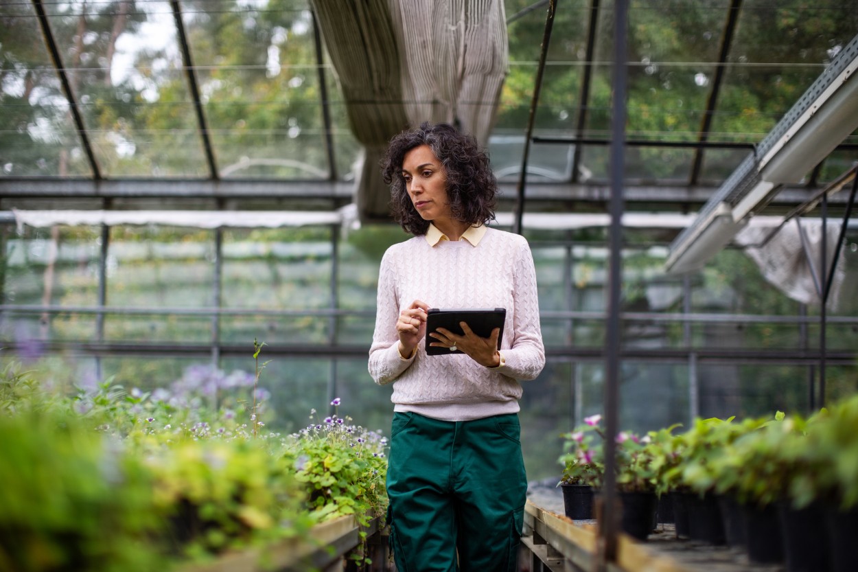 Mature woman holding a tablet working in a greenhouse.