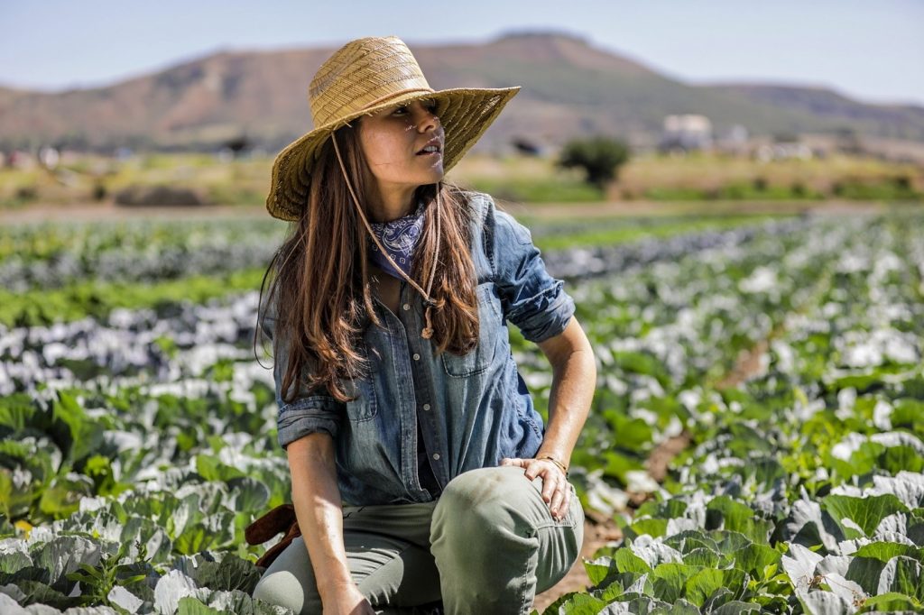 Femme portant un chapeau dans un champ de choux