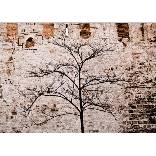 フォト スクラップ (スクラップブッキング・アンティーク) 画像スライド-3