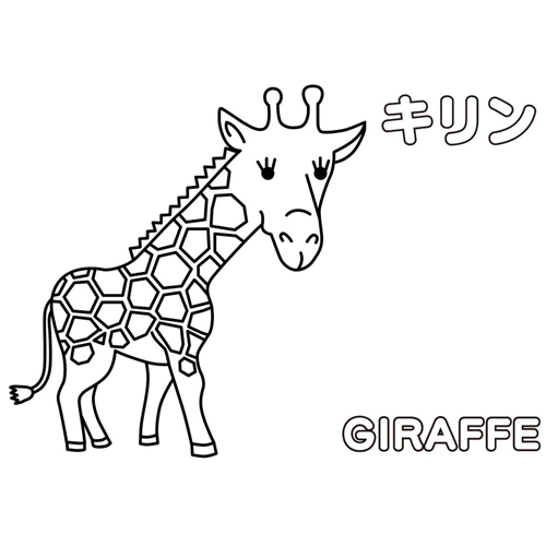 ぬりえ (ゴリラ・コアラ・キリンなど) 画像スライド-3