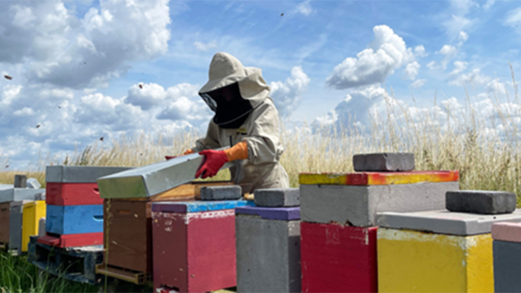 Man in Bee suit taking care of bees with their boxes